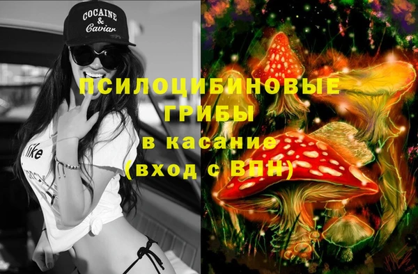 сатива Покров