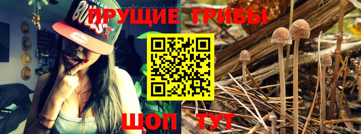 АМФ   Вход с VPN  Меф МЯУ МЯУ   Сокол  КОКАИН  Каннабис 