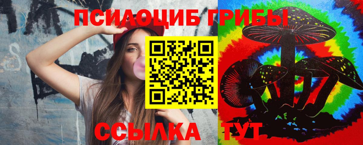 Галлюциногенные грибы прущие грибы  Вход с VPN  Галлюциногенные грибы Psilocybe  Сокол 