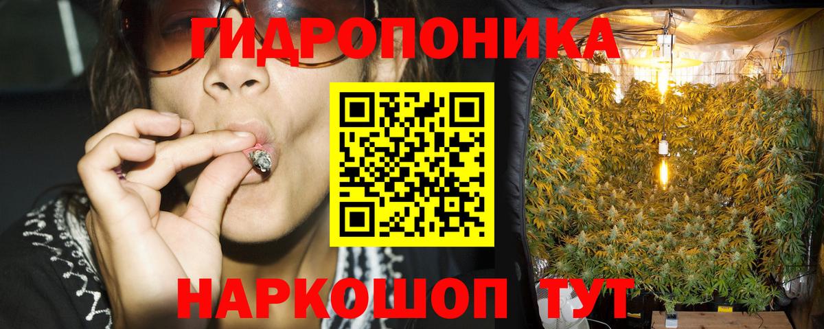 Бошки Шишки THC 21%  Шишки марихуана конопля  Конопля ГИДРОПОН  Сокол  Вход с VPN 